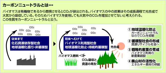 カーボンニュートラルとは...バイオマスは有機物であるから燃焼させるとCO<sub>2</sub>が排出される。バイオマスの中の炭素はその成長過程で光合成で
大気から吸収している。そのためバイオマスを使用しても大気中のCO<sub>2</sub>を増加させてないと考えられる。