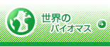 世界のバイオマスニュース