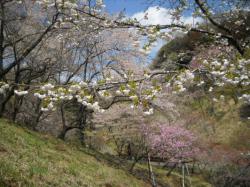 dscn4336.JPG