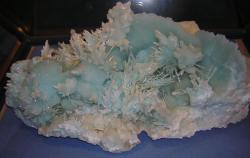 dscn3620.JPG